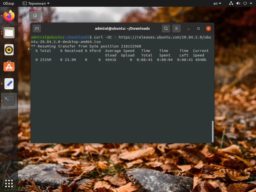 Curl в Ubuntu: как установить и забыть про ошибку «команда не найдена»