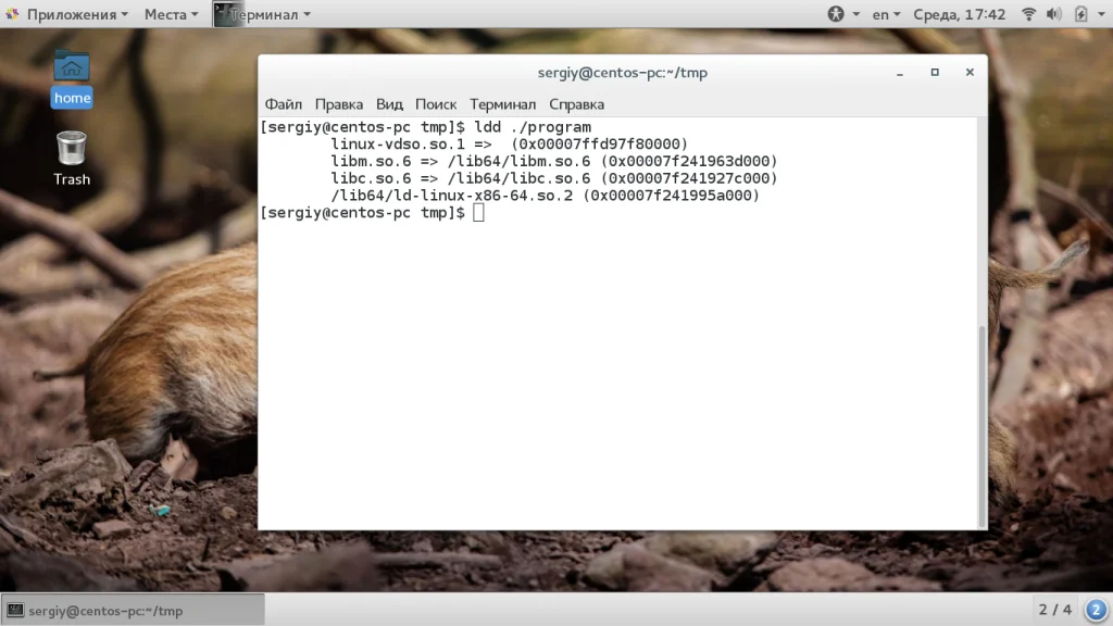 Создаём с нуля: твой первый код для Linux