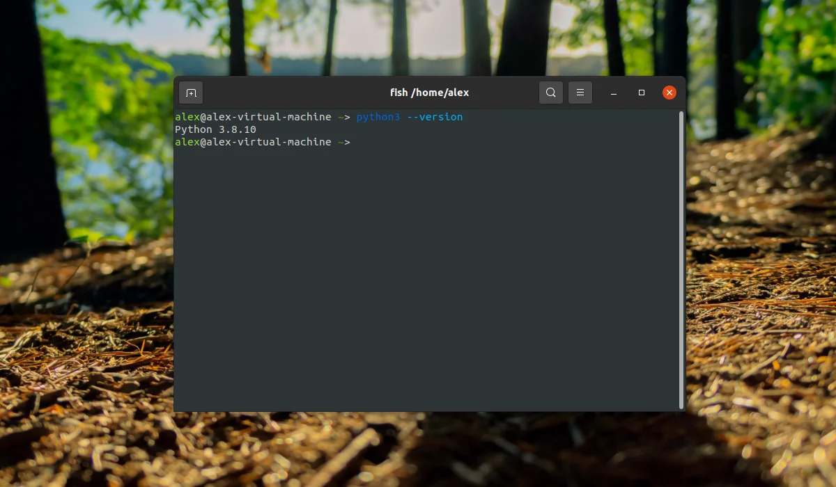 PIP в Ubuntu: Ставим Python-пакеты за минуту
