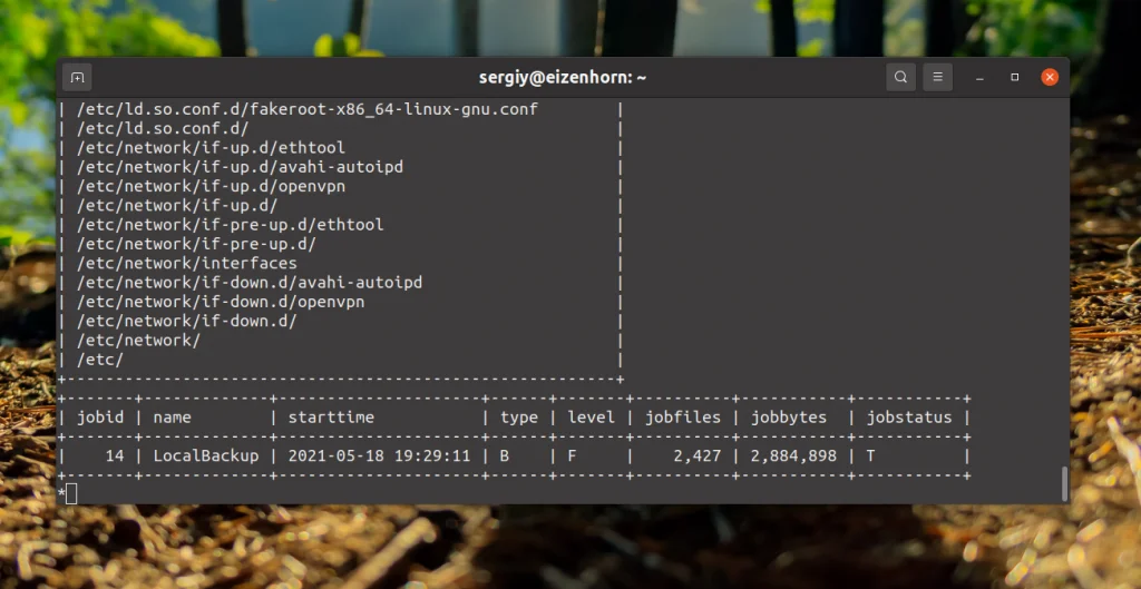 Bacula: Настройте надежное резервное копирование на Linux за 6 шагов