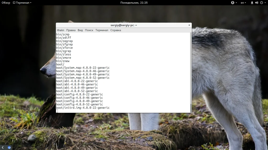 Ubuntu: 5 способов создать резервную копию системы, которые спасут ваши данные