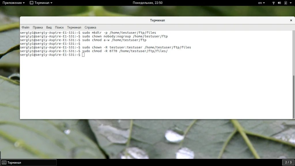 FTP-сервер на Ubuntu 20.04: Быстрая настройка и защита от уязвимостей