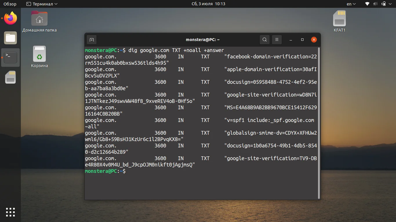 Dig в Linux: Полное руководство по мощному DNS-детективу