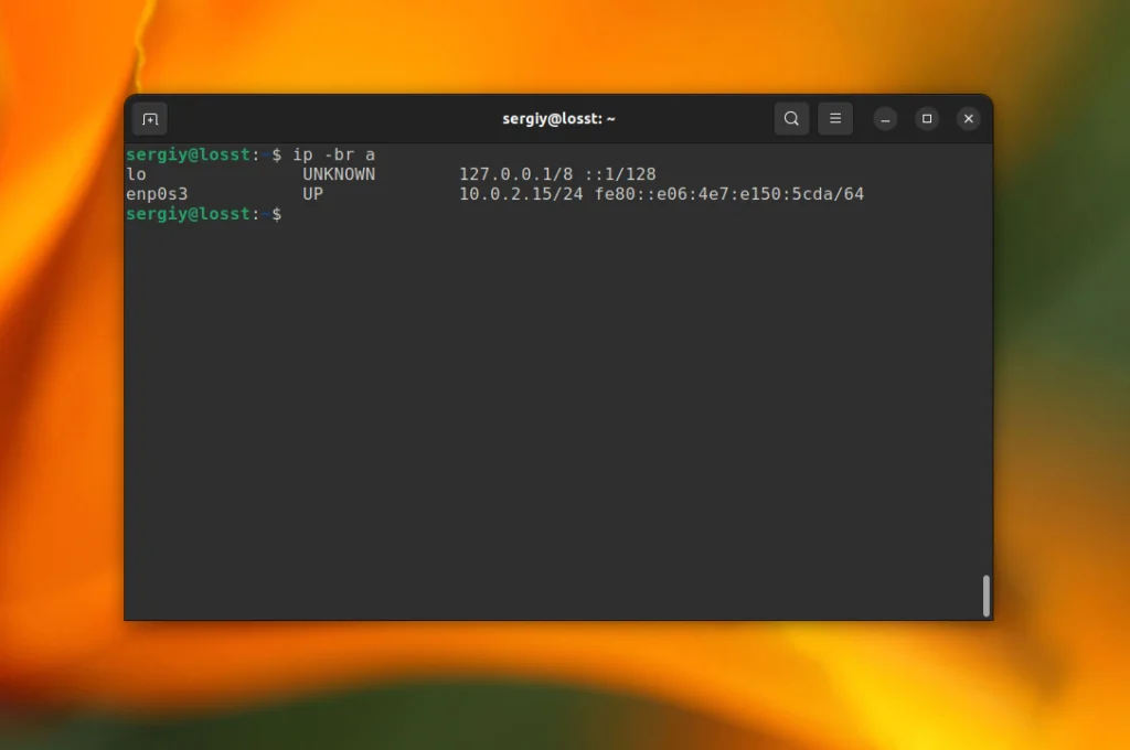 IP-адрес в Linux: 3 простых способа узнать свой адрес за 2 минуты