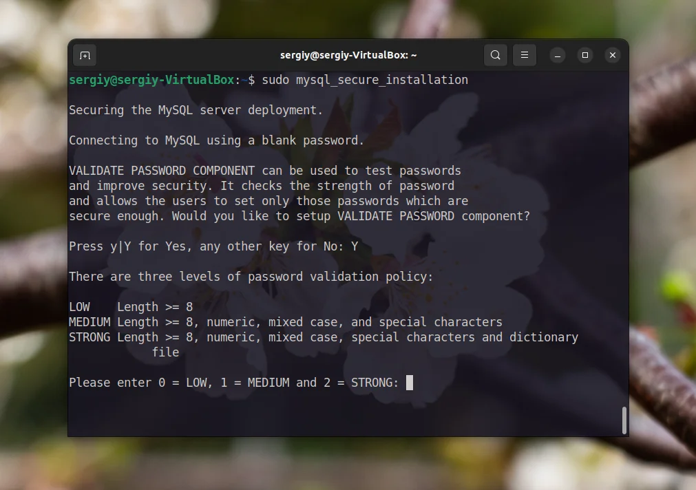 MySQL ругается на пароль? Решаем ошибку валидации за 2 минуты