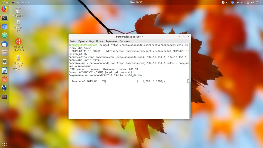 Anaconda в Ubuntu: Полный гайд по установке и настройке для Python-разработки