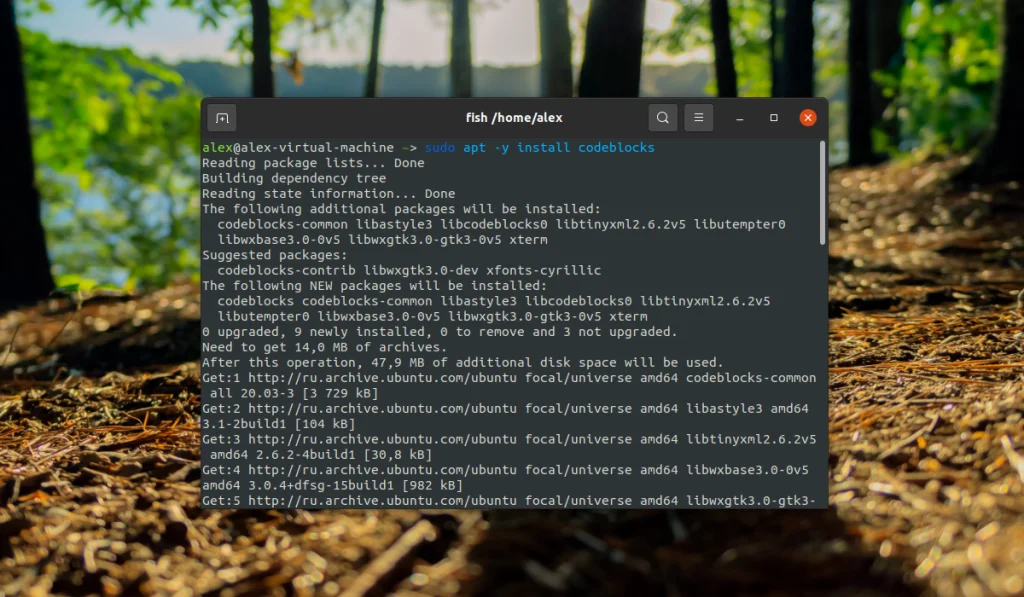 CodeBlocks в Ubuntu 20.04: Быстрая установка и ваш первый проект