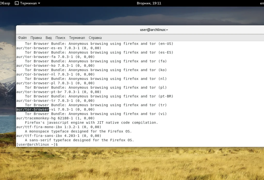 Pacman: Полное руководство по установке пакетов в ArchLinux