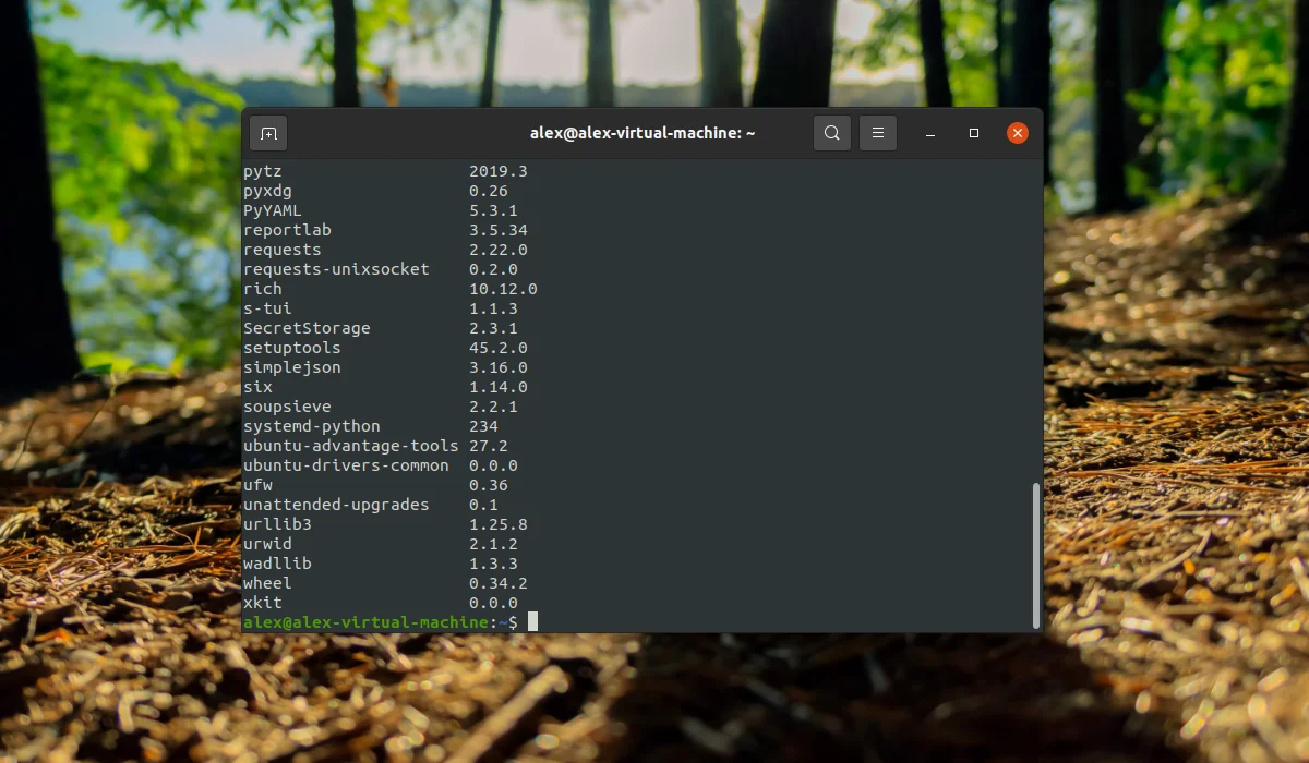 PIP в Ubuntu: Ставим Python-пакеты за минуту