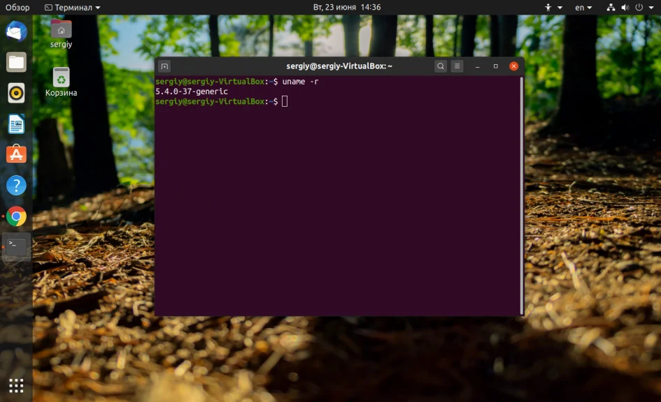 Какая у тебя Ubuntu? 4 быстрых способа узнать версию