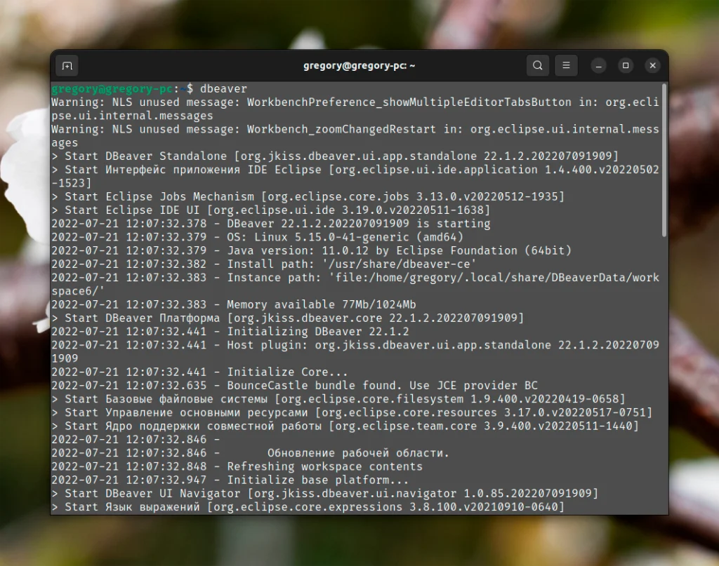 DBeaver в Ubuntu 22.04: 3 простых способа установки и быстрый старт