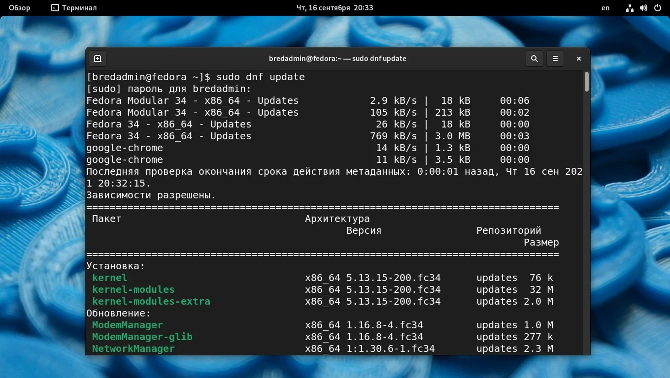 Хром на Федоре: 3 рабочих способа установить Google Chrome