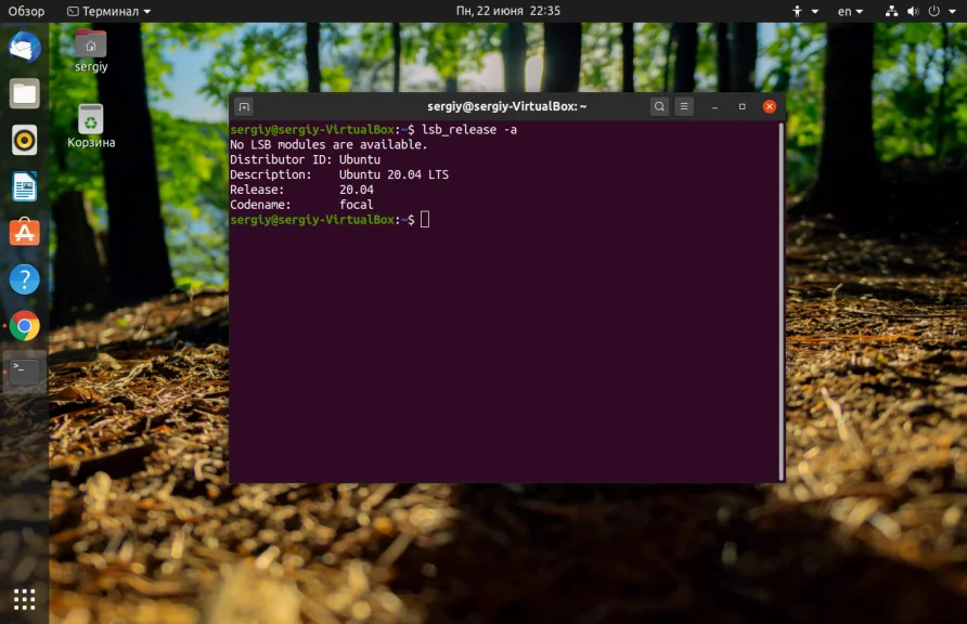 Какая у тебя Ubuntu? 4 быстрых способа узнать версию