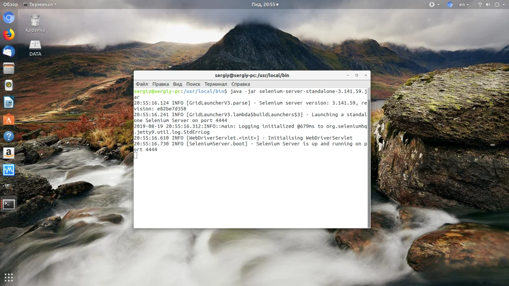 Автоматизируй браузер с Selenium: полный гайд по установке в Linux