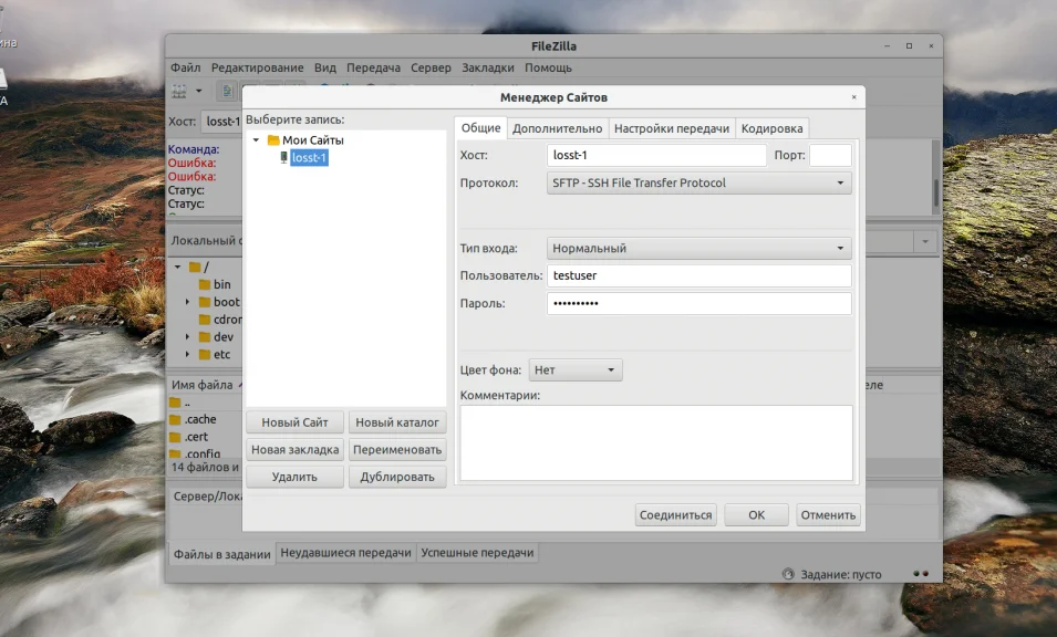 FileZilla не подключается к серверу? Решаем ошибку за 5 минут