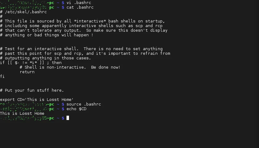 Переменные окружения в Linux: полный гайд для начинающих и не только