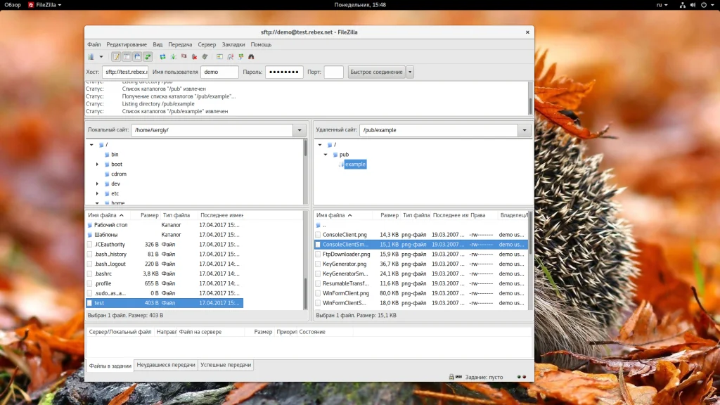 FileZilla: Полное руководство по работе с FTP-клиентом для начинающих
