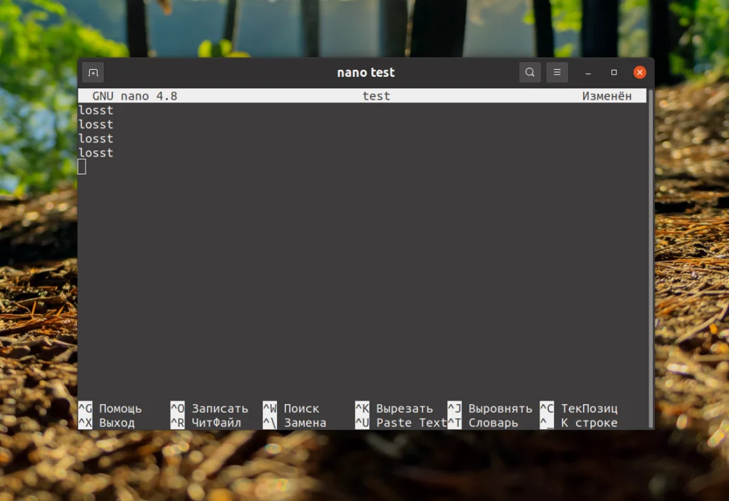 Сохраняем в nano без стресса: 2 простых способа для новичков Linux