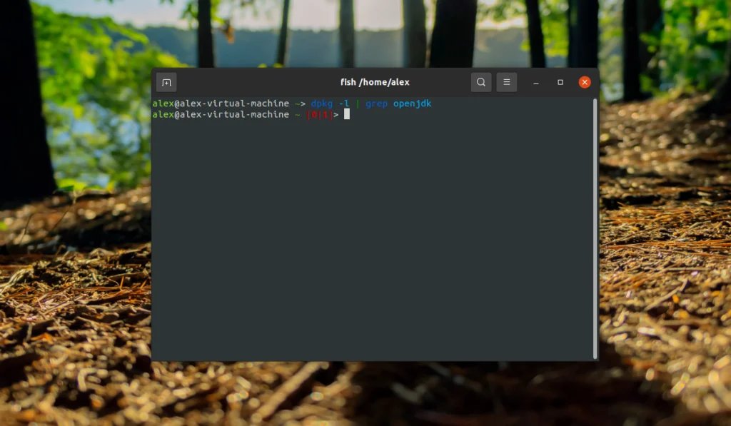 Чистим Ubuntu от Java: полный гайд по удалению
