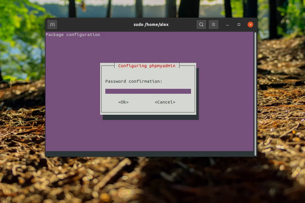 PhpMyAdmin на Ubuntu 20.04: Полная инструкция по установке и настройке с Nginx