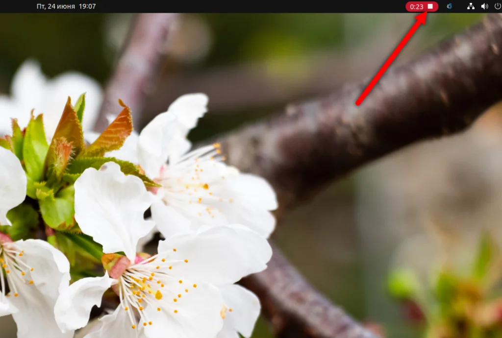 Захватываем экран Ubuntu: 2 способа сделать идеальный скриншот