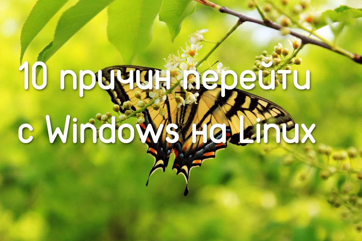 Хватит это терпеть: 10 веских причин перейти с Windows 10 на Linux уже сегодня