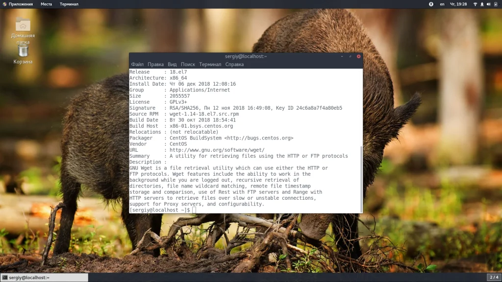 CentOS: Как узнать всё установленное ПО за 5 минут