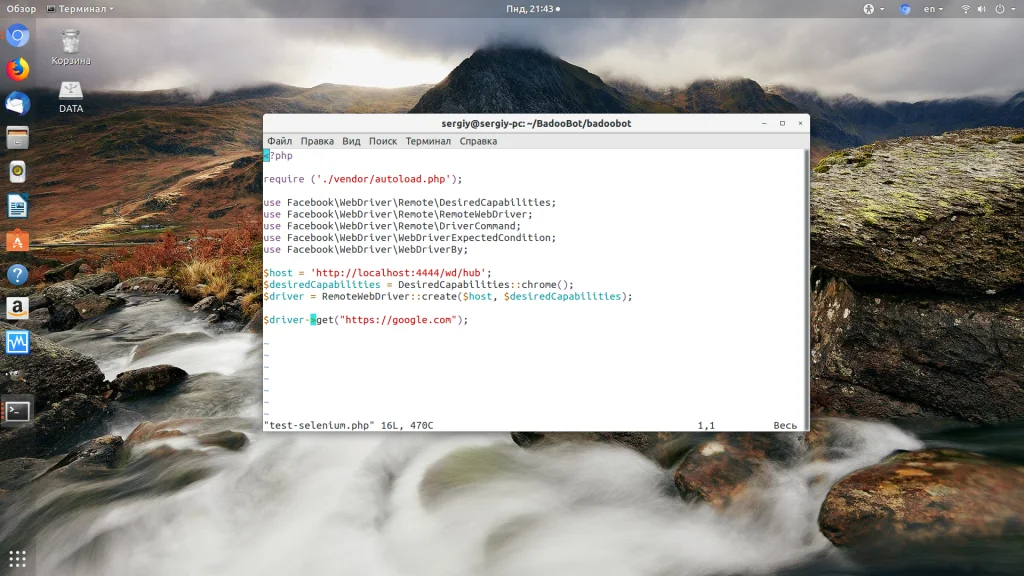 Автоматизируй браузер с Selenium: полный гайд по установке в Linux