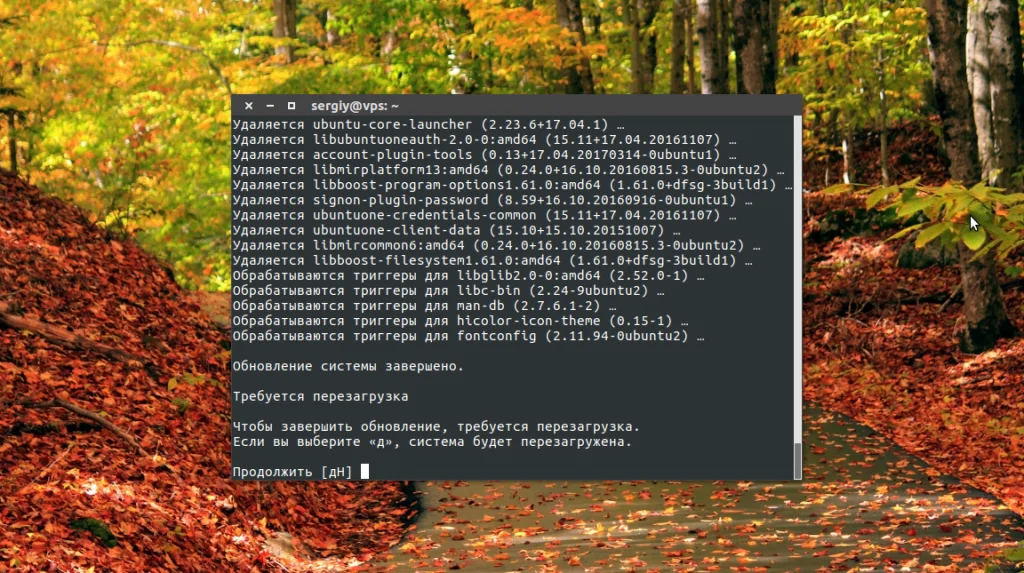 Обновляем Ubuntu до 17.04: пошаговая инструкция для всех