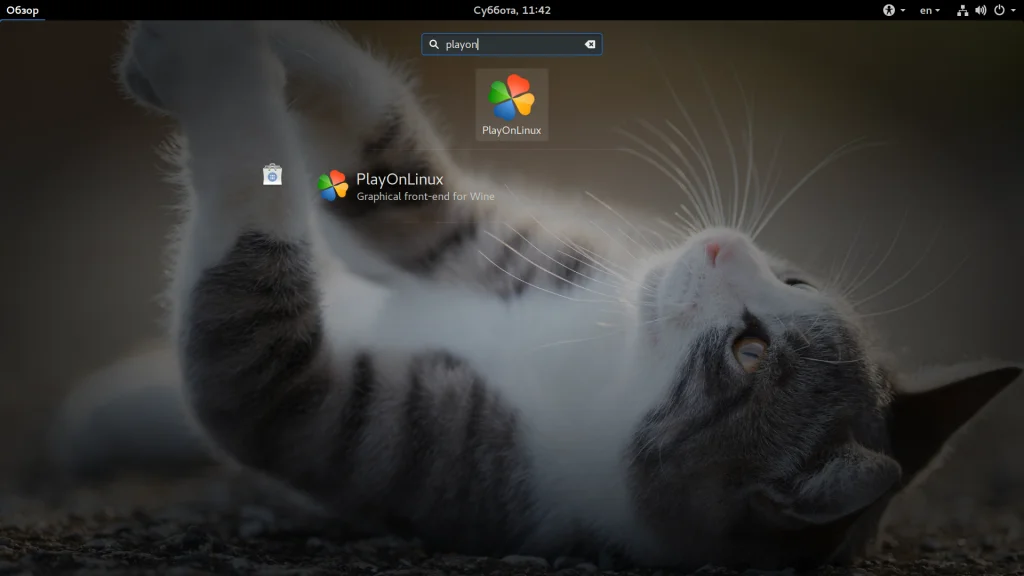 Запускай Windows-программы в Linux за пару кликов: полный гайд по PlayOnLinux
