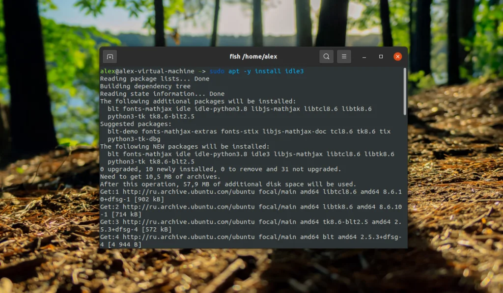 Запускаем IDLE для Python в Ubuntu 20.04: Быстрая установка и первая программа
