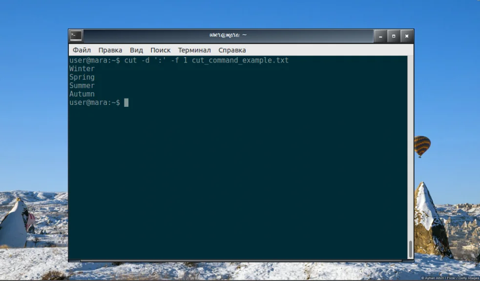 Команда cut в Linux: как легко вырезать нужные части текста
