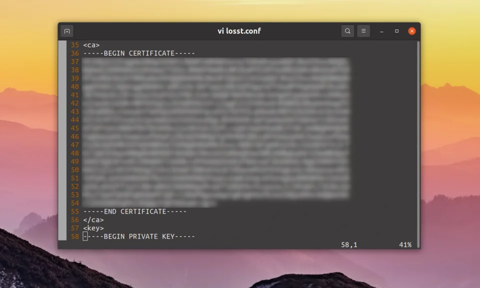 Настройка OpenVPN на Ubuntu 20.04: Полное руководство для безопасного подключения