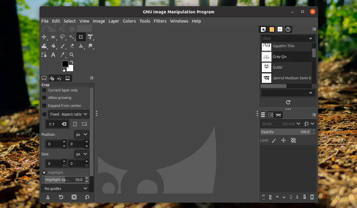 Как установить шрифт в Gimp