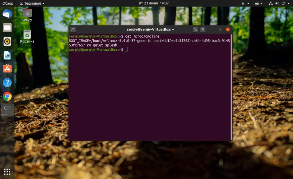 Какая у тебя Ubuntu? 4 быстрых способа узнать версию