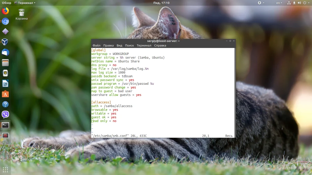 Общий доступ между Ubuntu и Windows: настраиваем Samba за 15 минут