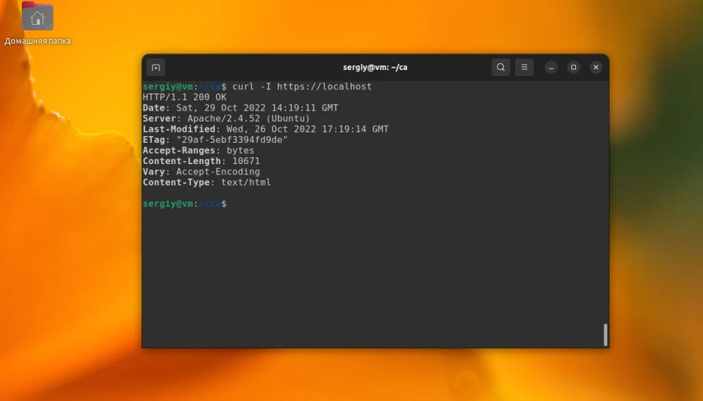 Доверенные сертификаты в Ubuntu: как избавиться от ошибок SSL раз и навсегда