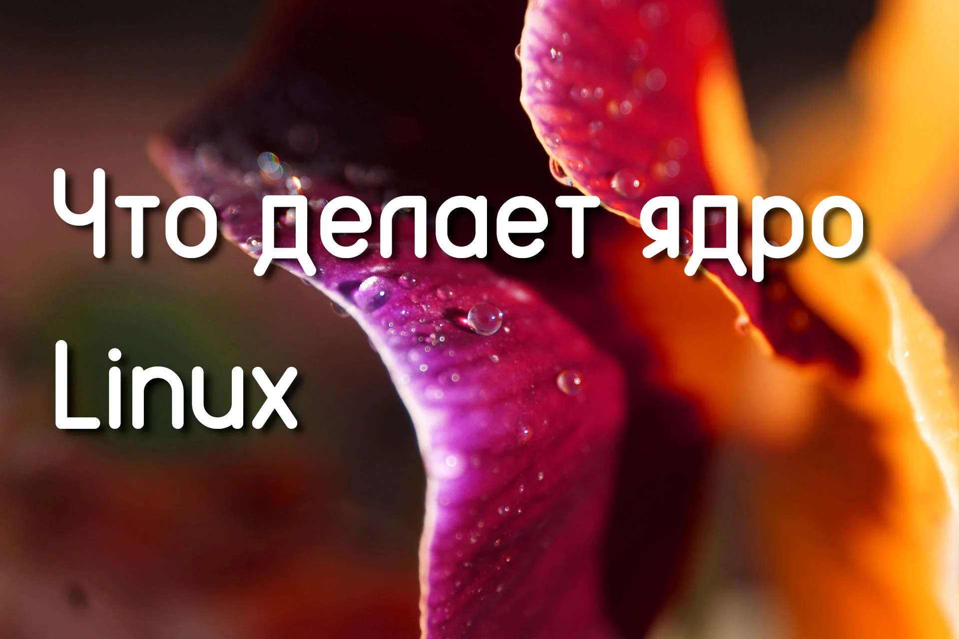 Сердце вашего компьютера: что на самом деле делает ядро Linux и почему оно важно для вас