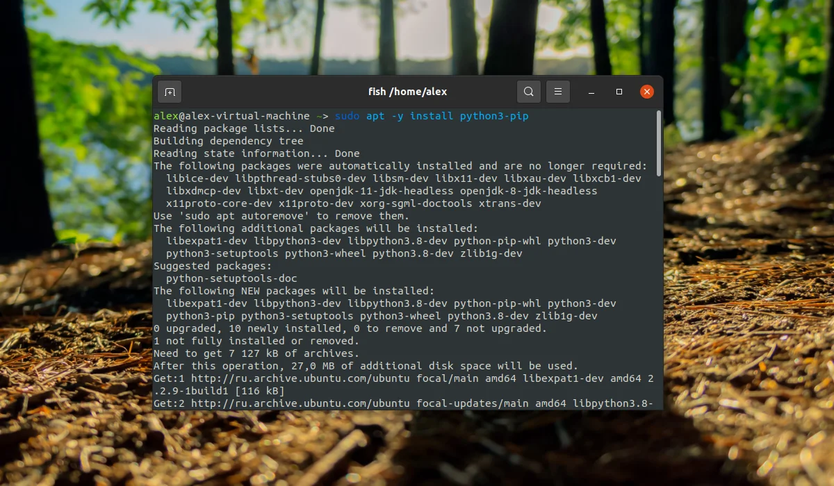PIP в Ubuntu: Ставим Python-пакеты за минуту