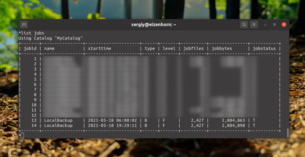 Bacula: Настройте надежное резервное копирование на Linux за 6 шагов