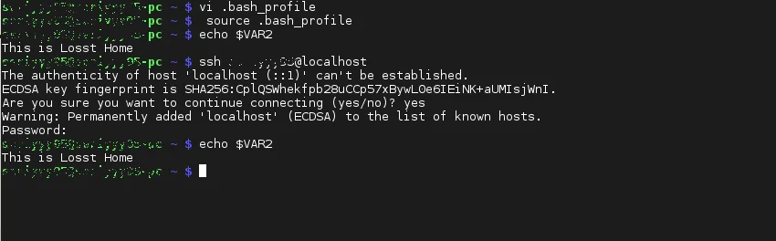 Переменные окружения в Linux: полный гайд для начинающих и не только