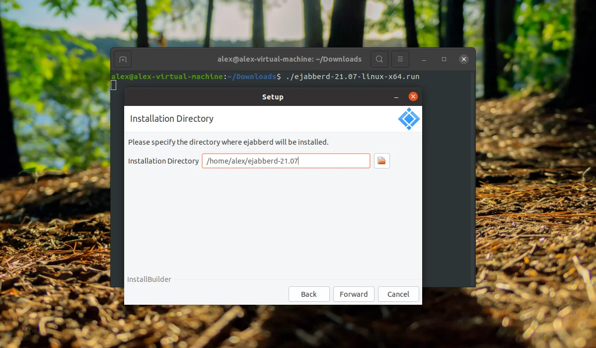 Свой Jabber-сервер на Ubuntu 20.04 за 5 минут: полный гайд по установке ejabberd