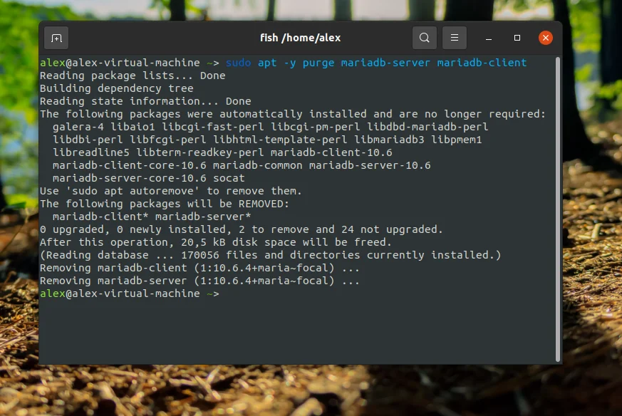 MariaDB в Ubuntu 20.04: Полное руководство по установке и настройке