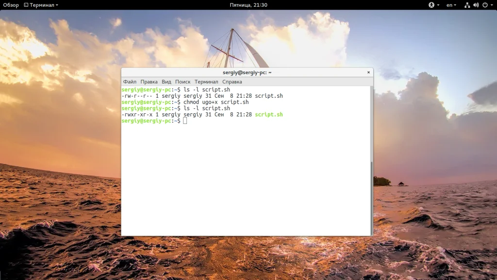 Запускаем скрипты в Linux как профи: полный гид для новичков