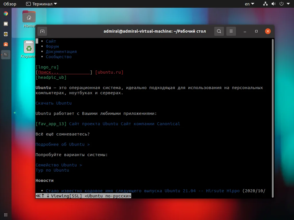 Терминал вместо браузера: 5 лучших консольных решений для Linux