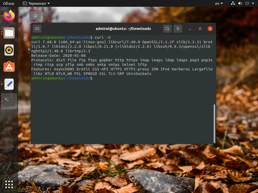 Curl в Ubuntu: как установить и забыть про ошибку «команда не найдена»