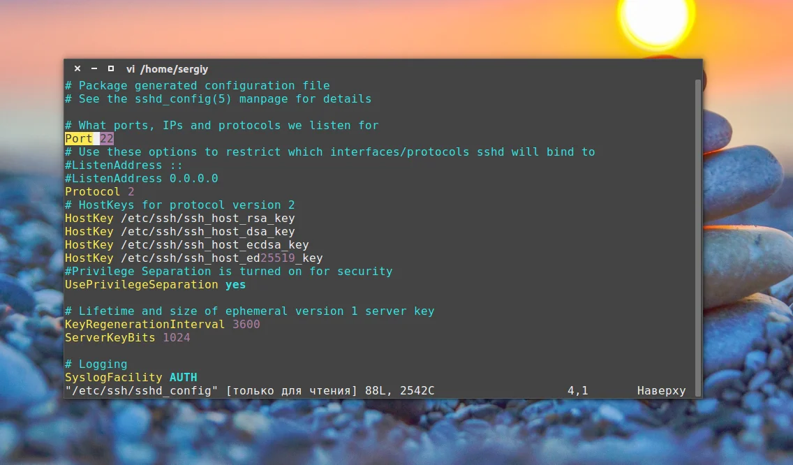 Подключайся к Ubuntu удалённо: Полный гайд по SSH за 5 минут