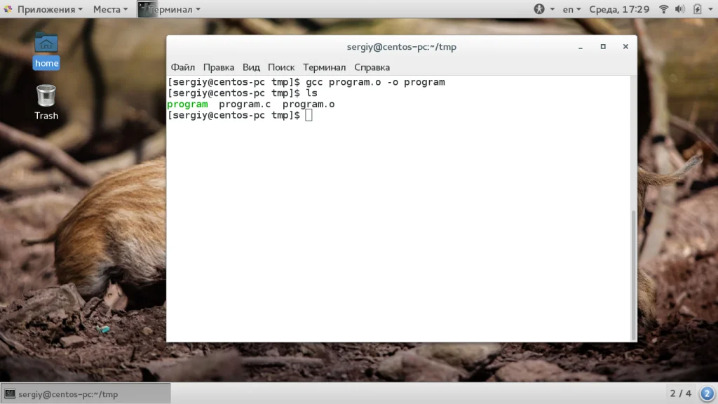 Создаём с нуля: твой первый код для Linux