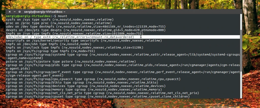 Где найти диски в Linux: 5 способов посмотреть все подключенные накопители