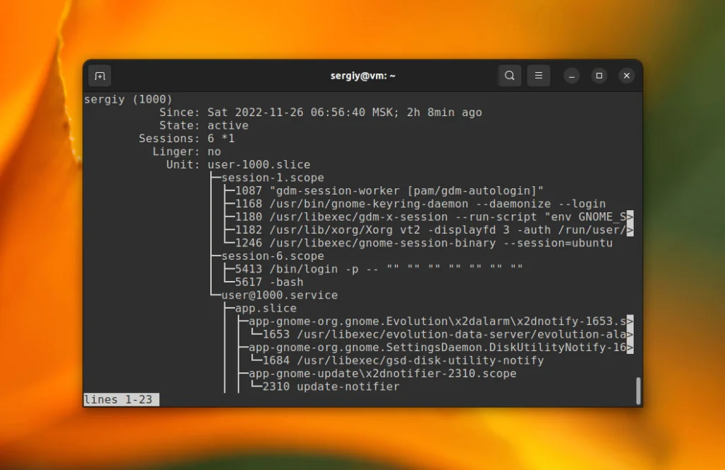 loginctl: Полный контроль над сессиями пользователей в Linux